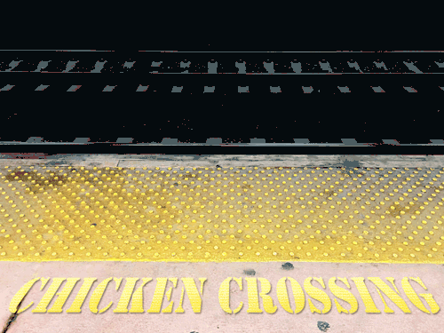 Chicken Crossing GIF