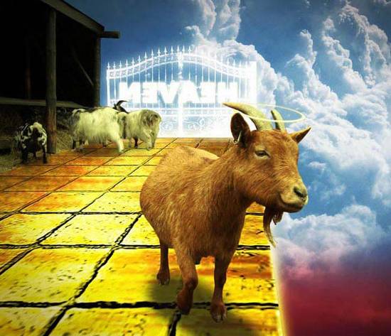Goats Go To Heaven