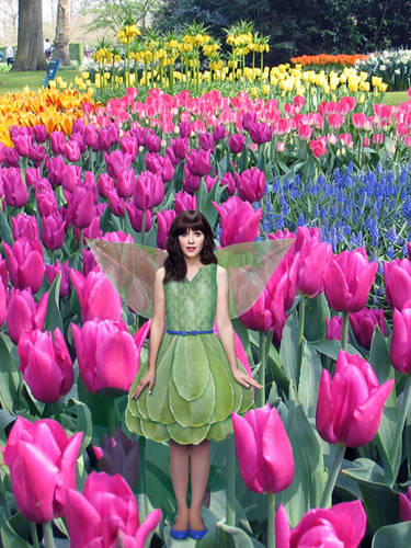 Fairy in tulip fields 
