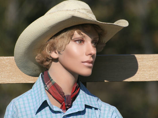 Cowgirl Droid 3.0