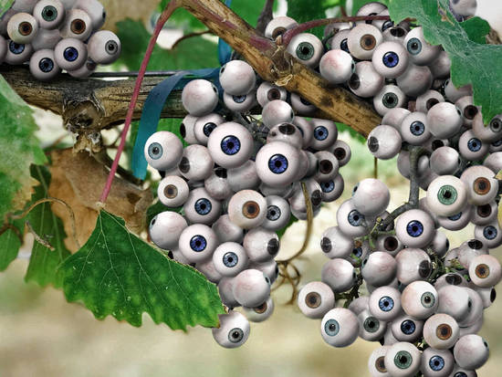 Orchard of Eyes