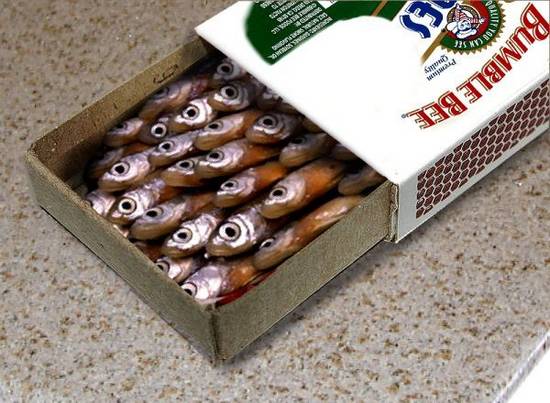 Box of sardines