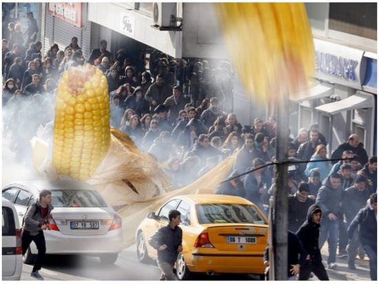Corn-Fall