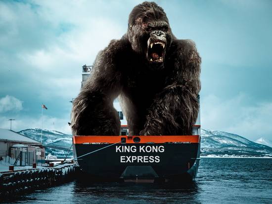 King Kong Express