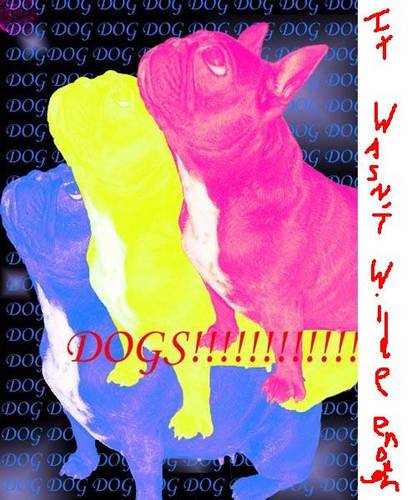 DOGS!!!!!!!!!!!!!!!!!!!1