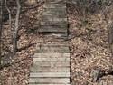 Wooded Stairs