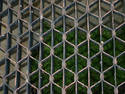 Grate Over Grass