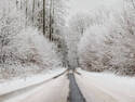 Winter Road, 6 entries