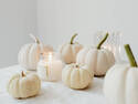 White Pumpkins, 4 entries