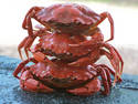 Crab Stack, 4 entries