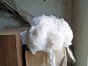 Cotton Fluff