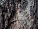 Iceland Rock Texture