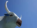 Babe The Blue Ox
