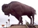 Bison Statue
