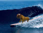Tiger Surf