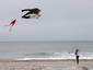 Granparent Kite Flying