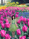 Fairy in tulip fields 