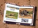 Rattlesnake book
