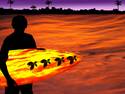 Sunset Surfer