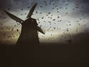 Murder in the Windmill