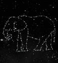 Elephantum Constellation