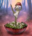 mushroom dancer