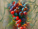 Colorful Grapes