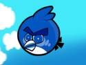 Angry Bird - GIF