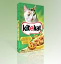 KiteKat Kitty
