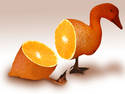 Duck a l'orange
